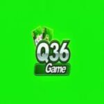 Q36 Game