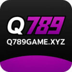 Q789 Game
