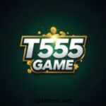 T555 Game