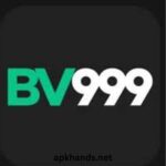 BV999 Game