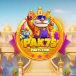 Pak75 Game